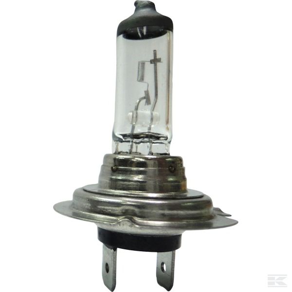 Bulbs Kramp
