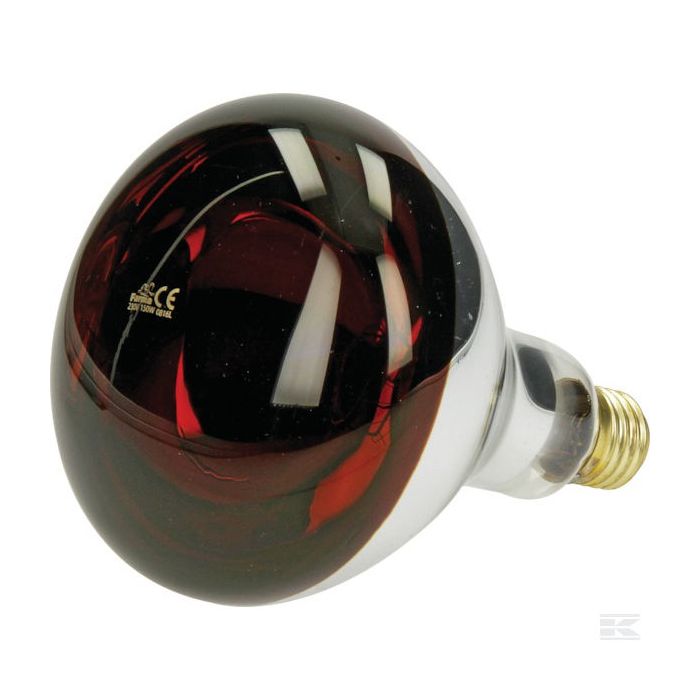 Heat Lamps & Bulbs