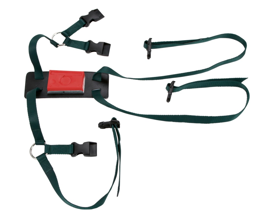 Animal Chains And Harnesses  Animal Chains And Harnesses