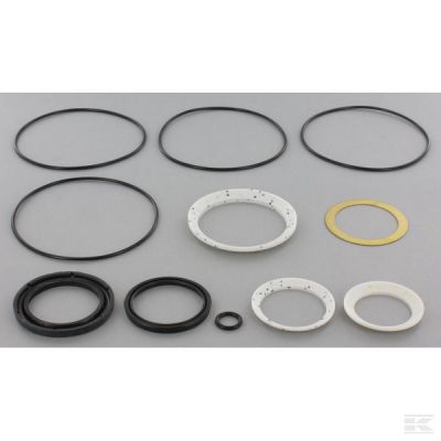 Char-Lynn gasket set 104-105