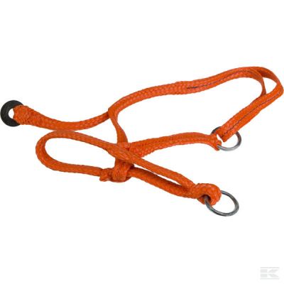 Slide halter calf