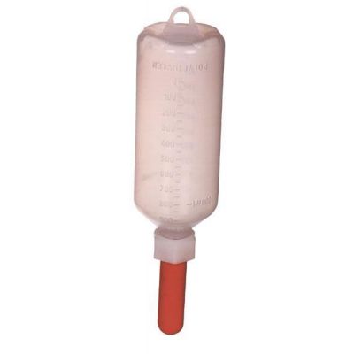 Animal Drinking Bottle 1L
