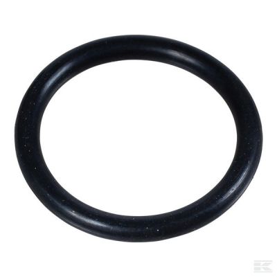 Seal 20.29x2.62mm 70 shore EPD