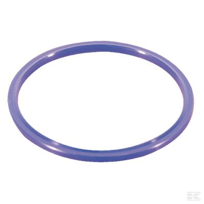 Seal ring SAE 3/4