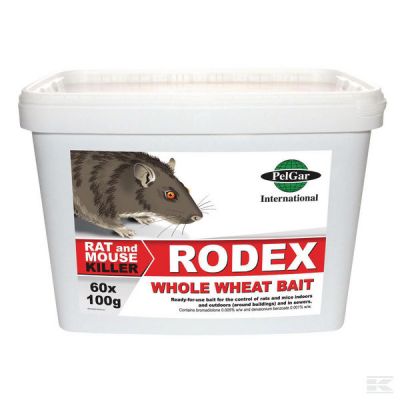 Rodex Whole Wheat Place Packs