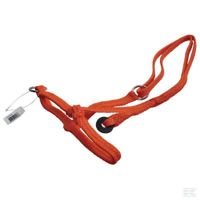 Slide halter cow