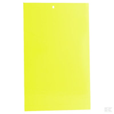 Fly paper double-sided 170mm x