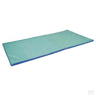 Disinfection mat 1800 x 900 x