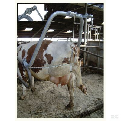 Hoof care frame with leg suppo