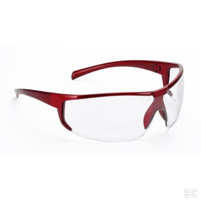 Univet 5x4 transparent glasses