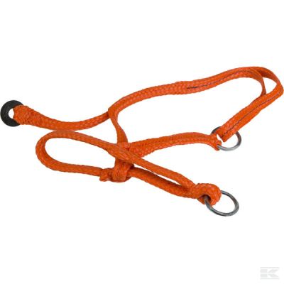 Slide halter calf
