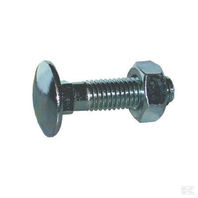 Coach bolt and nut DIN603 M10x
