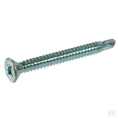 Self tapping screw 4.8x50mm PH