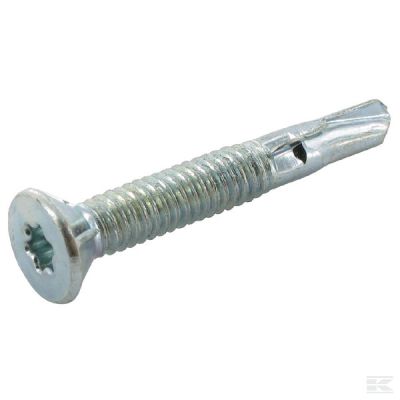 Self tapping screw 6.3x60mm TX