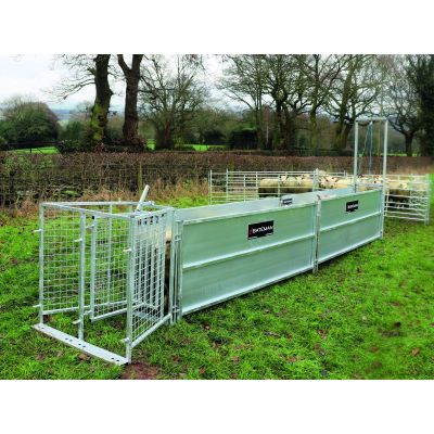 Bateman Standard Sheep Handling Starter Race FETF243A