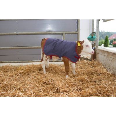 Calf Blanket Thermoplus 80cm FETF228A