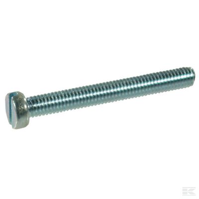 Slotted cheese head screw DIN8