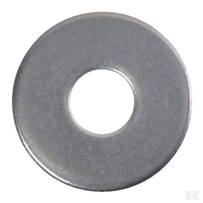Coach bolt washer M20x60x4mm,