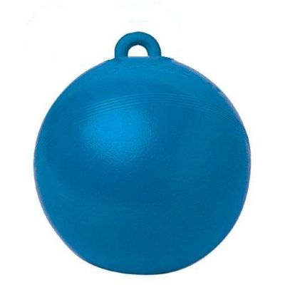 Horse Play Ball Blue