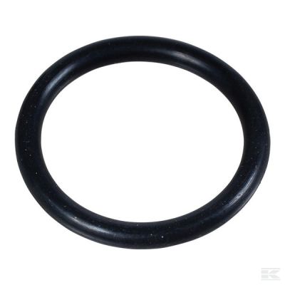 Seal 20.29x2.62mm 70 shore EPD