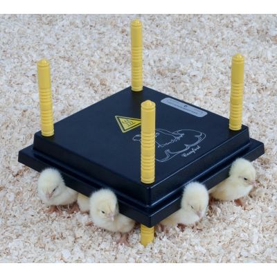 Chicktec Comfort Chick Brooder