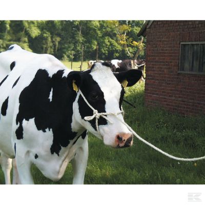 Halter with rope HD