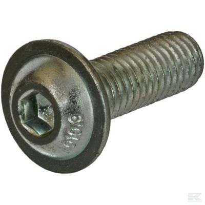 Flat round hex screw M10x25 10