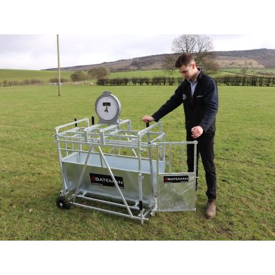 Bateman Lamb/Pig Calf Weigher. FETF78SH/CA/PI