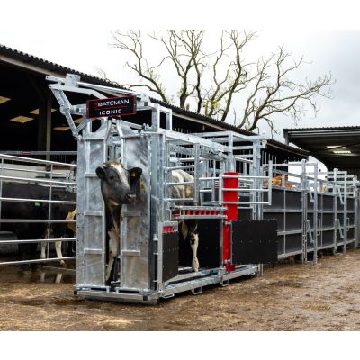 Bateman Iconic Cattle Crush FETF61