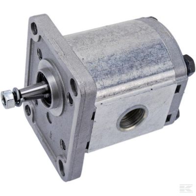 Pump PLP10.8 D0-81E1-LGD/GD-N-