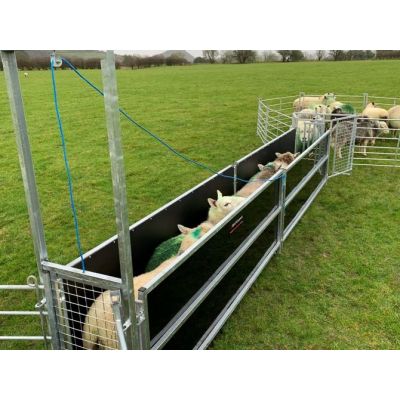 Bateman Polypropylene Sheep Handling Starter Race FETF243A