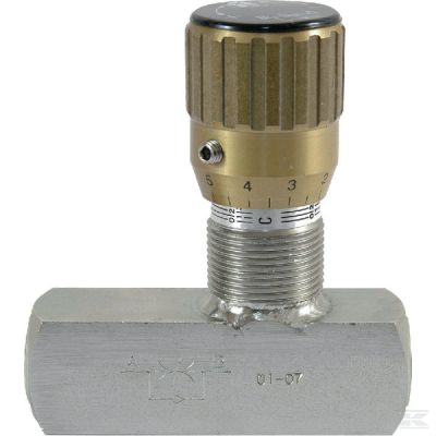 Throttle Check Valve SS