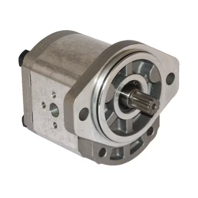 Casappa Pump PLP2025D003S2 Pump PLP20.25D0-03S2-LEB/EA-N-EL FS