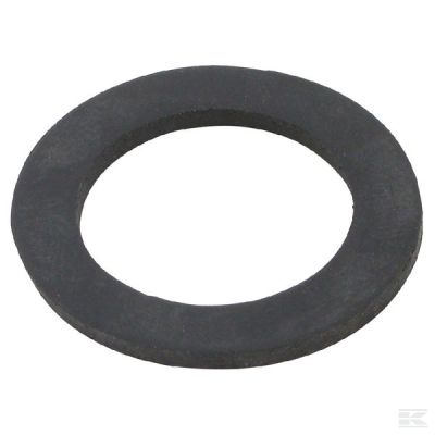 Seal ring TA 4046