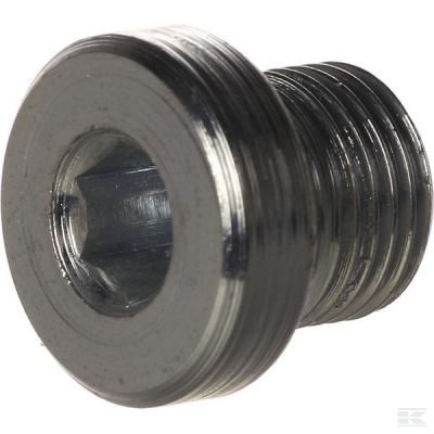 Plug 1/8 BSP