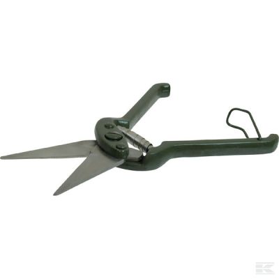 Foot-rot shears for sheep