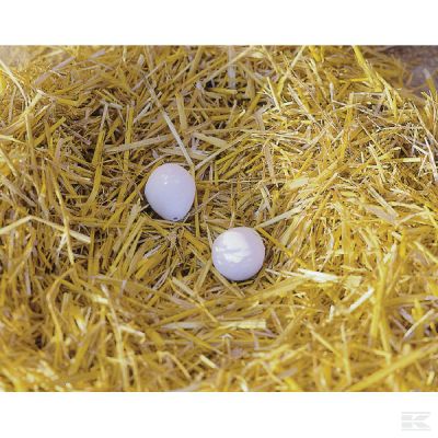 Nest eggs 2x