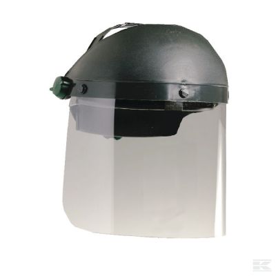 Face visor