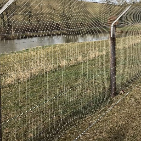 Badger Fencing