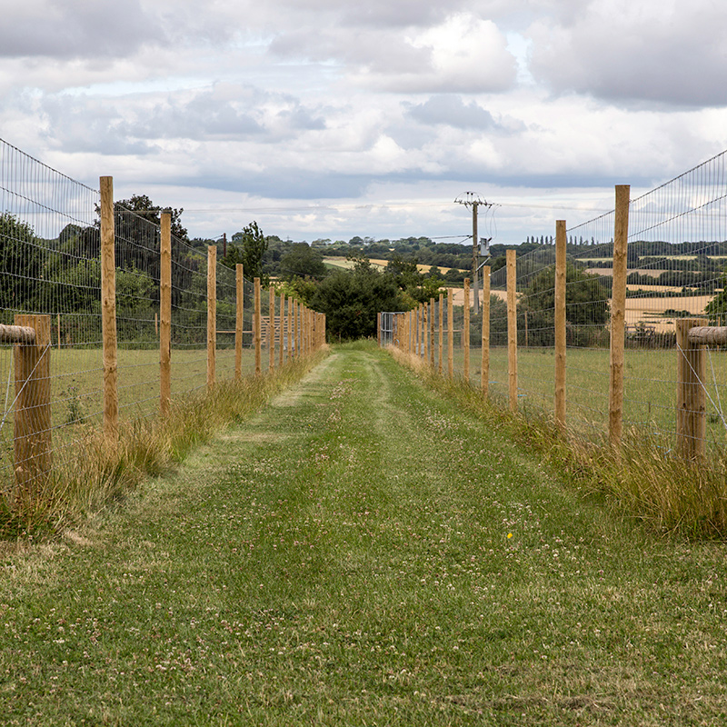 Deer Fencing