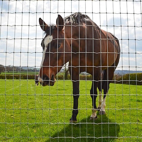 Horse Fencing